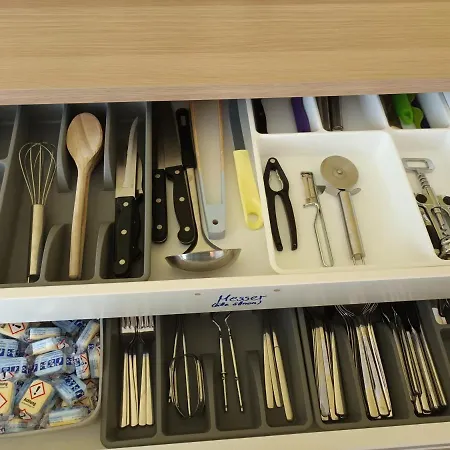 Strandrose Friedrichskoog